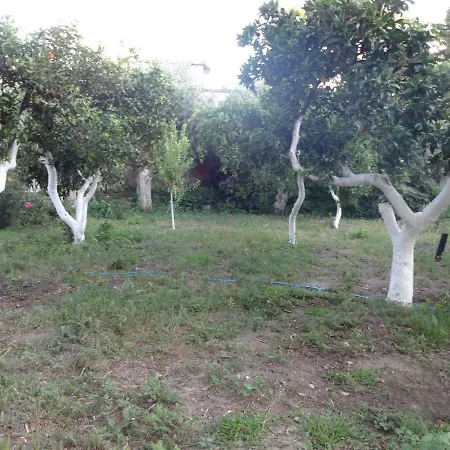 Orange Tree House Kalamata