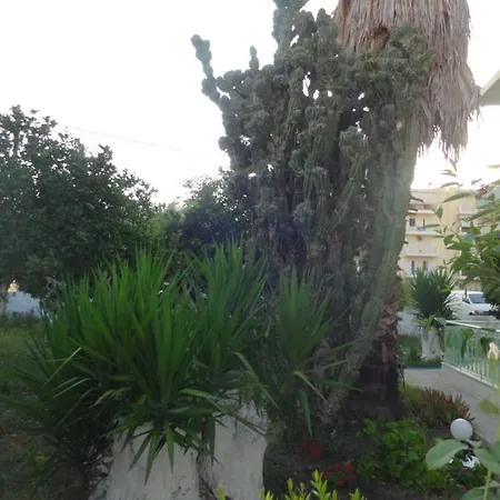 Orange Tree House 卡拉马塔